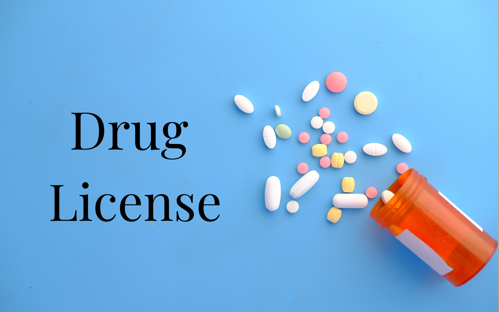 Drug License