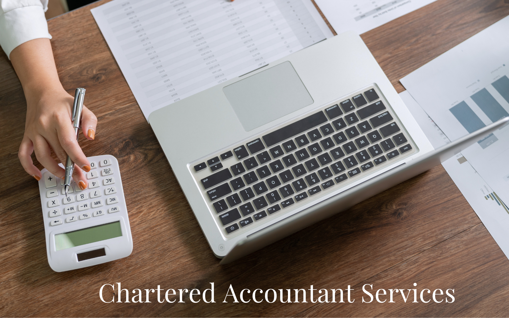 chartered accountant services